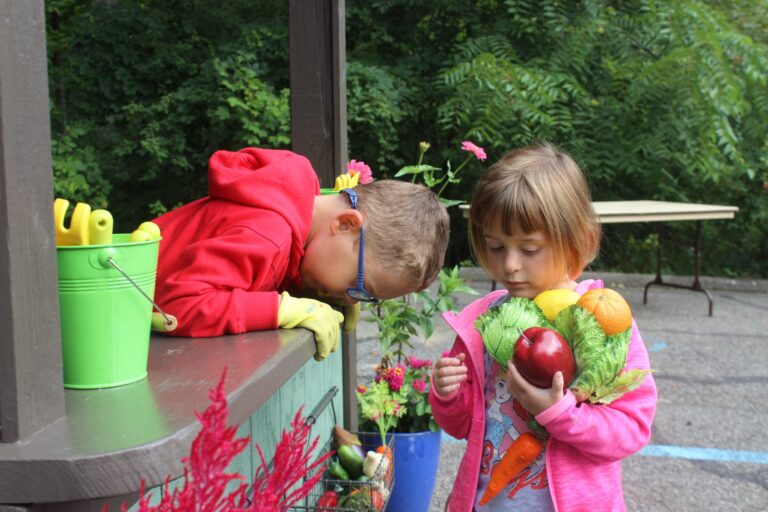 Explore the Gardens Kingwood Center Gardens