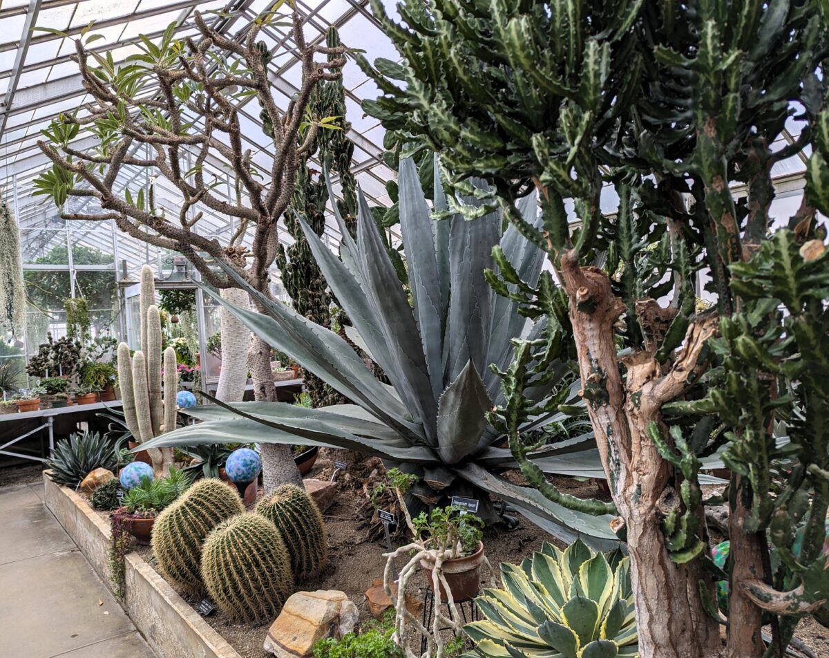 Display GreenhouseGarden & Gift Shop 